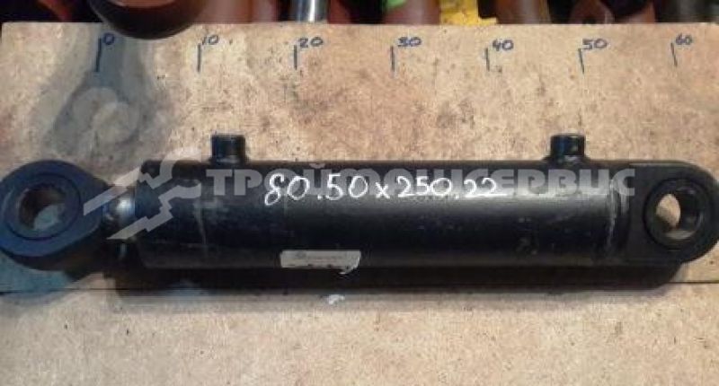Гидроцилиндр рабочего органа ЦГ-80.50х250.22
